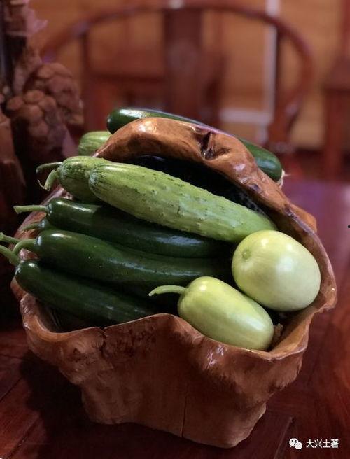 大网红吃瓜东海