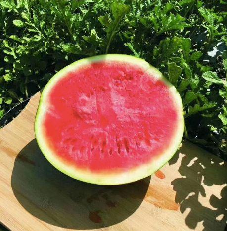 医院着急吃瓜,揭秘紧张吃瓜背后的故事