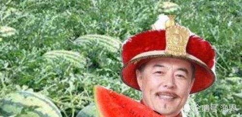 半路吃瓜后续,揭秘娱乐圈背后的秘密与真相