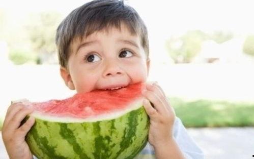 兔仔吃瓜,兔仔瓜田乐逍遥