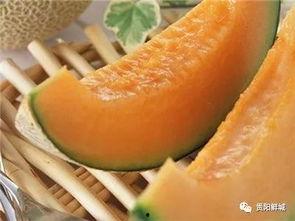 哈密瓜吃瓜