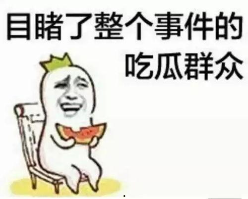 带你吃瓜的同行,带你领略“吃瓜群众”的独特魅力