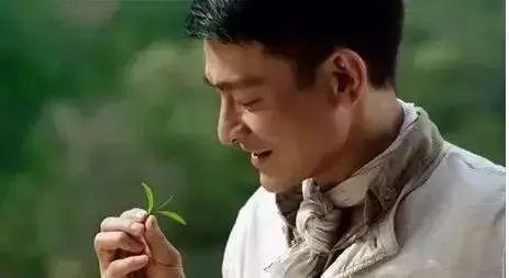 吃瓜姑姑爱喝茶视频