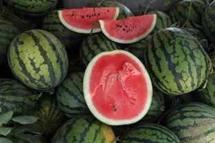 梦见买酸瓜吃,酸瓜之旅揭示潜意识奥秘