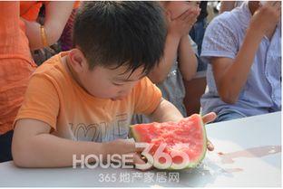 青城吃瓜大奇,揭秘网络热传的神秘事件