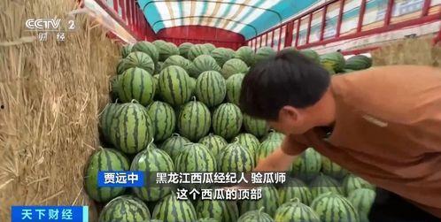 清扬吃瓜,揭秘娱乐圈幕后真相