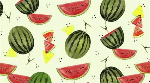 带你吃瓜班级口号,畅游带你吃瓜班级精彩瞬间