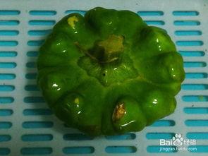 姜饼瓜尖怎么吃,探索美味新吃法